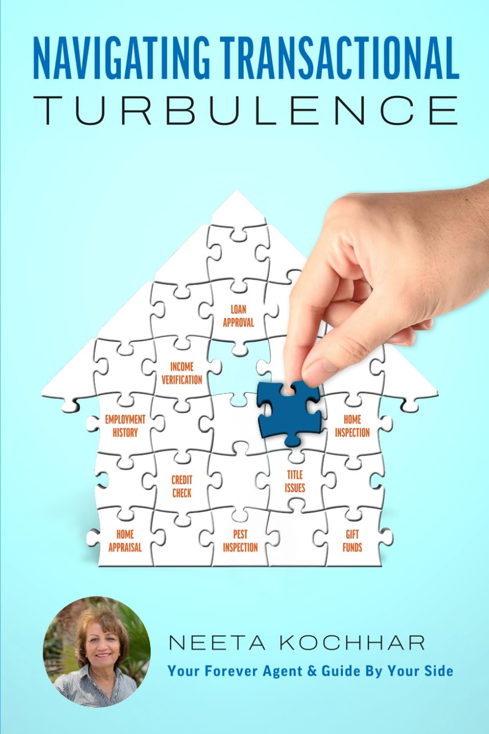 Cover of Navigating Transactional Turbulence by Neeta Kochhar